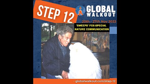 WE FIGHT GLOBALISM- AND THE THINGS THREATENING OUR CHILDREN-STEP 12 GLOBAL WALKOUT