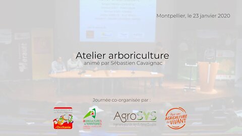 Atelier arboriculture sur sol vivant