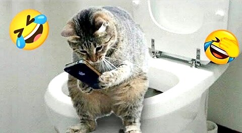 Funny Animals Video Part 10 | Try Not To Laught 😂🤣😂