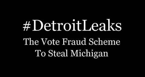 DetroitLeaks video of Michigan Poll Trainers Corruption