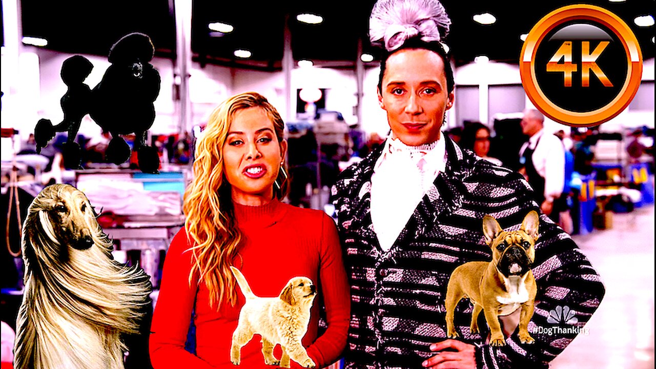 Tara Lipinski🇺🇸 & Johnny Weir🇺🇸Turn Up At The National Dog Show (4K)