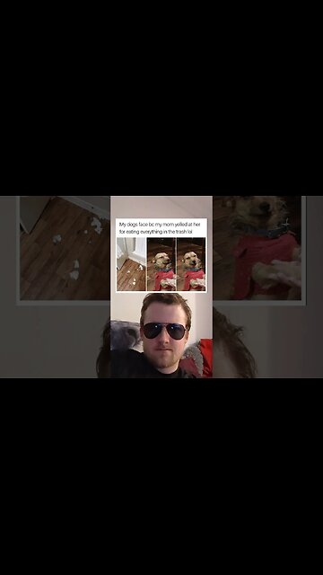 Your daily dose of memes