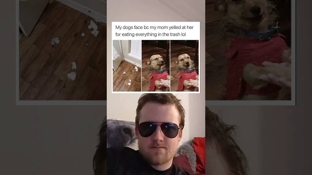 Your daily dose of memes