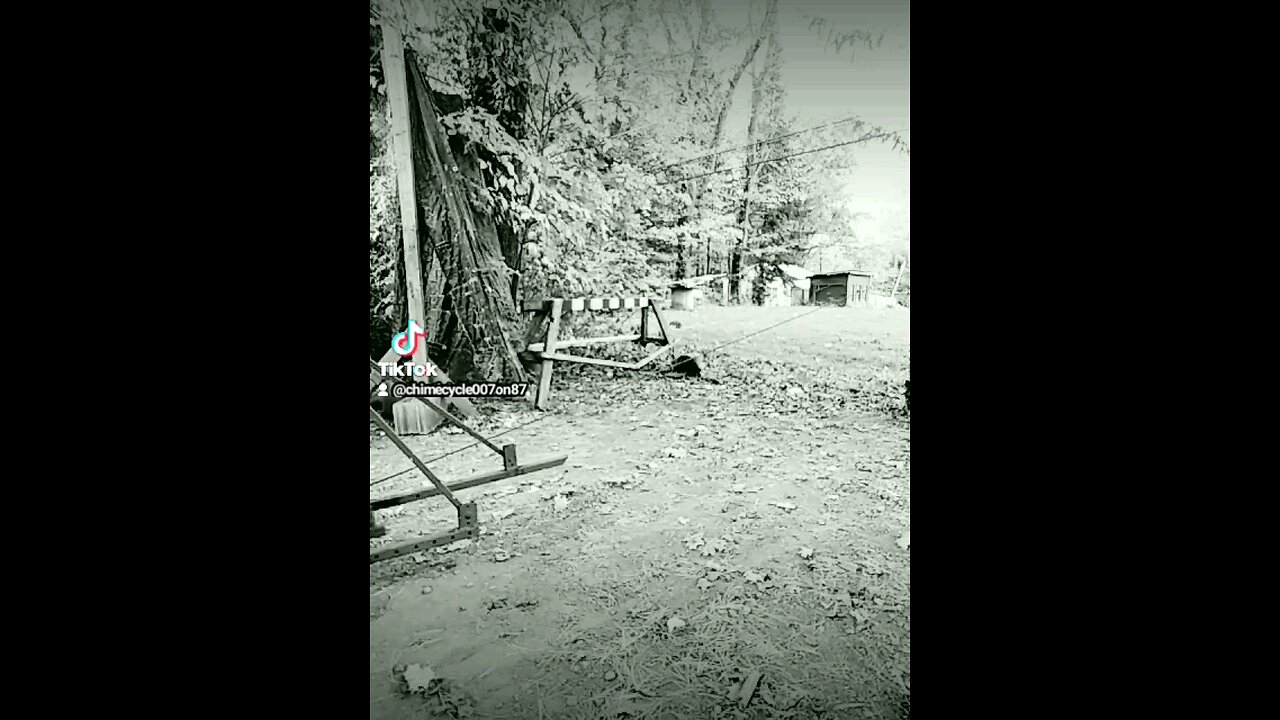 walker