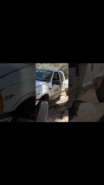 Ford F350 John Bull Big Bear