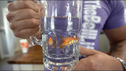 Gold Fish Challenge!!! August 11, 2019