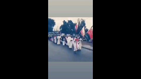 funny videos