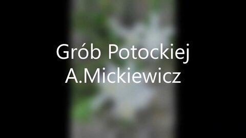 Grób Potockiej -A.Mickiewicz sonet