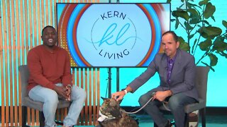 Kern Living: Animal of the Week "Lena"