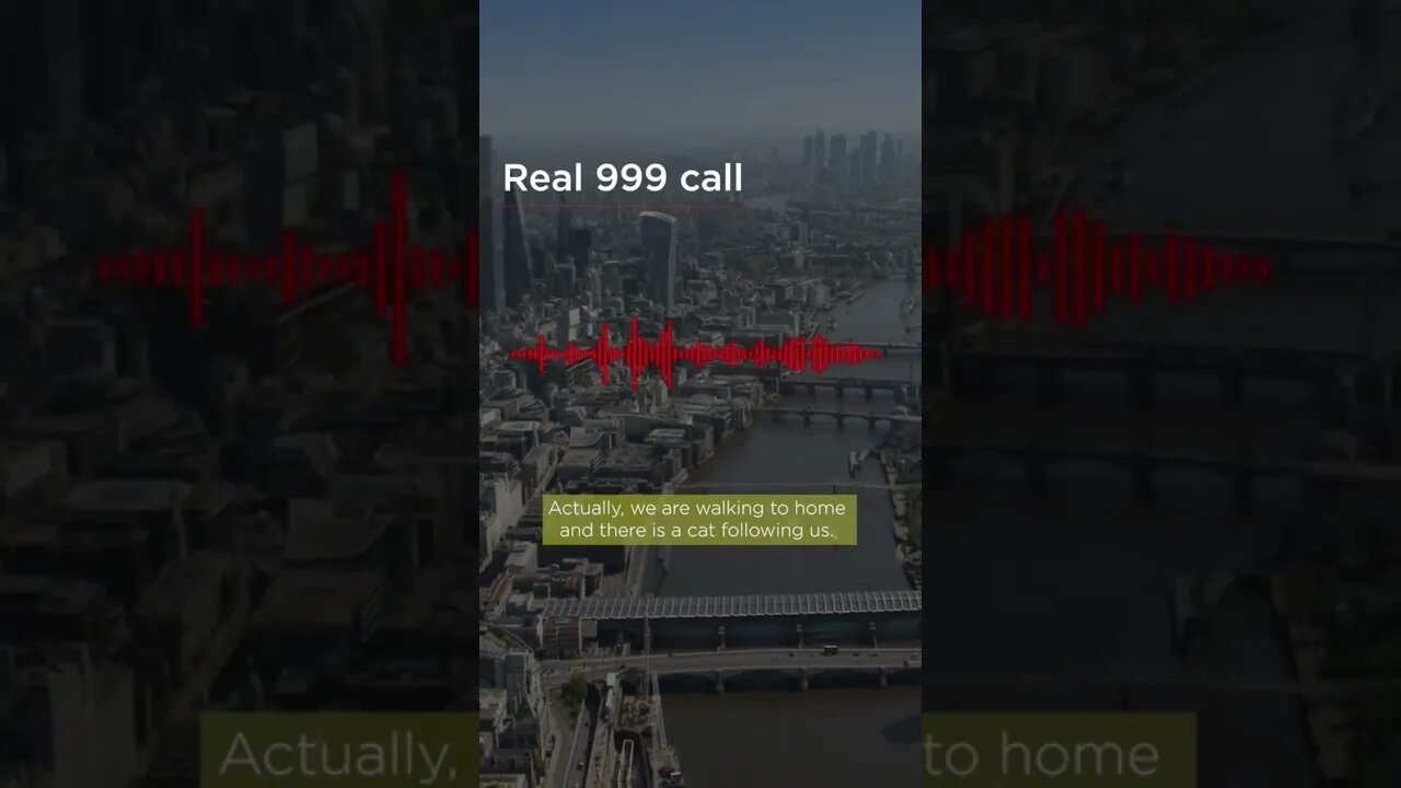 "A Cat Is Following You?" Real 999 Call From Someone Being Followed By A Cat