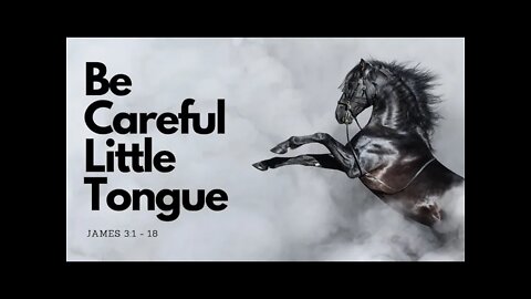 Be Careful Little Tongue | Pastor Bickel | Bethel Baptist Fellowship [SERMON]