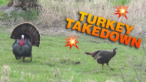 Awesome Over-the-Shoulder Turkey Hunt with 13-Year-Old Hunter