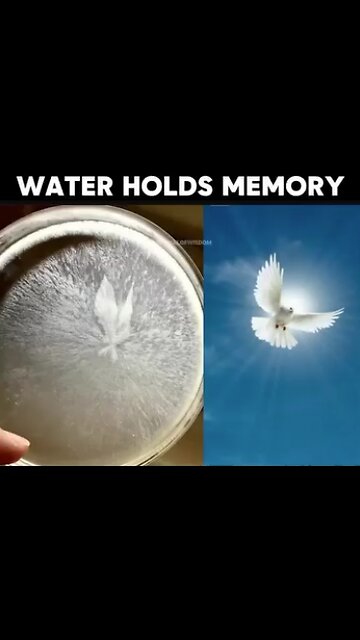 AMAZING..Water..Holds..Memory...