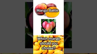 Which mango should you choose?