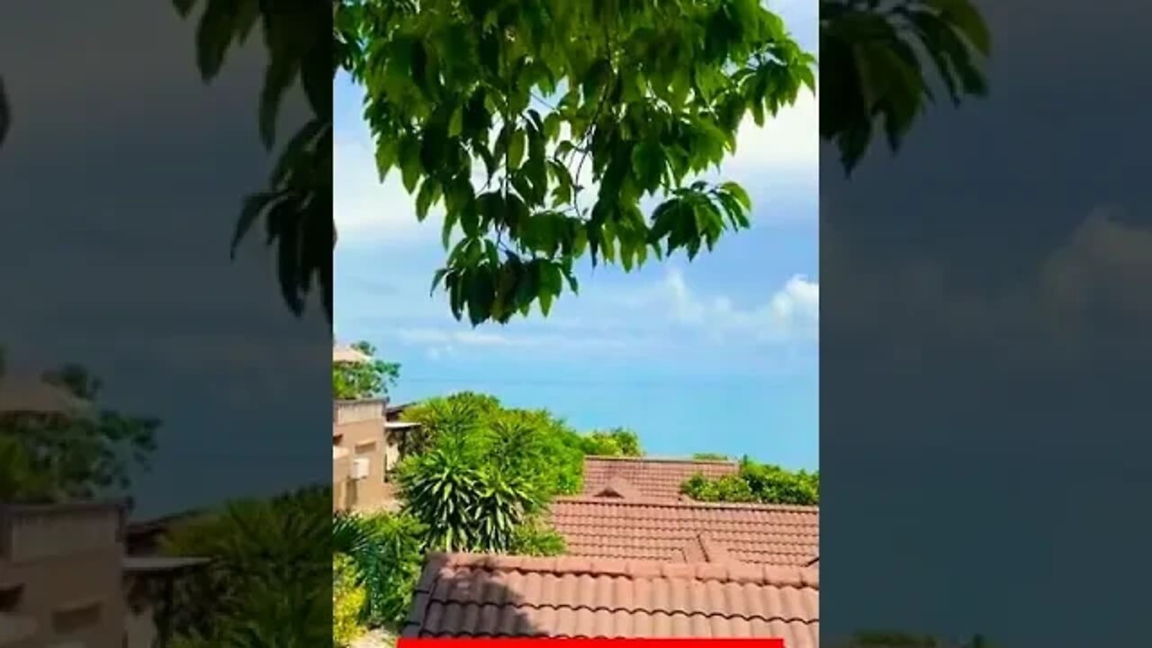 Background video #shorts #ytshorts #funnyshorts #youtubeshorts #youtube