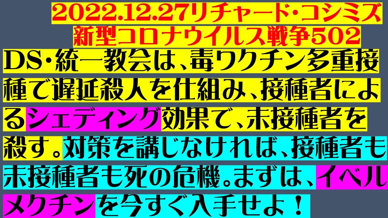 2022.12.27リチャード・コシミズ 新型コロナウイルス戦争５０２