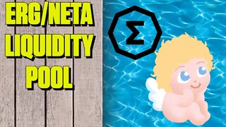 How to Add Liquidity to ERG NETA