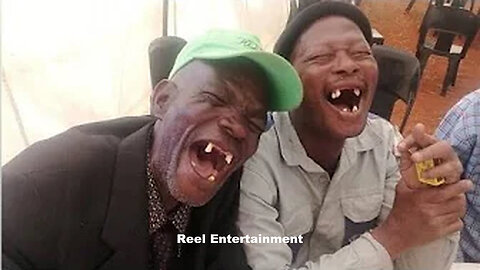 Try Not To Laugh Compilation Vol 19 🤣 🤣 🤣