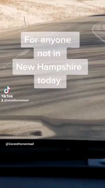 A Day in New Hampshire