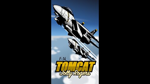 F-14 Tomcat: Anytime Baby!