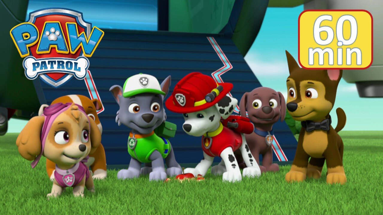 Chase and Skye Rescue Missions and MORE - PAW Patrol - Cartoons for Kids