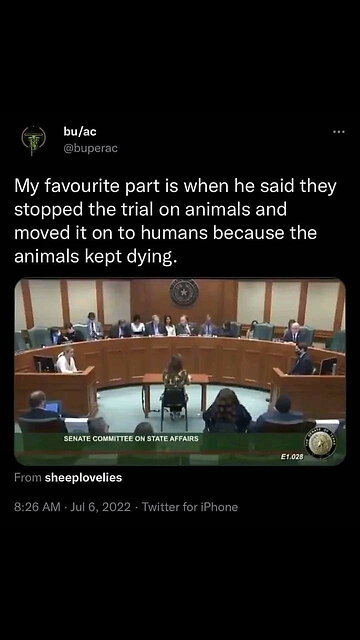 severed animal head experiment with blood supply - white hats