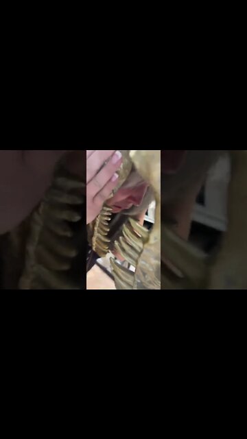 Woman Stuck in Dinosaur Costume Head! #MegaFails #Shorts