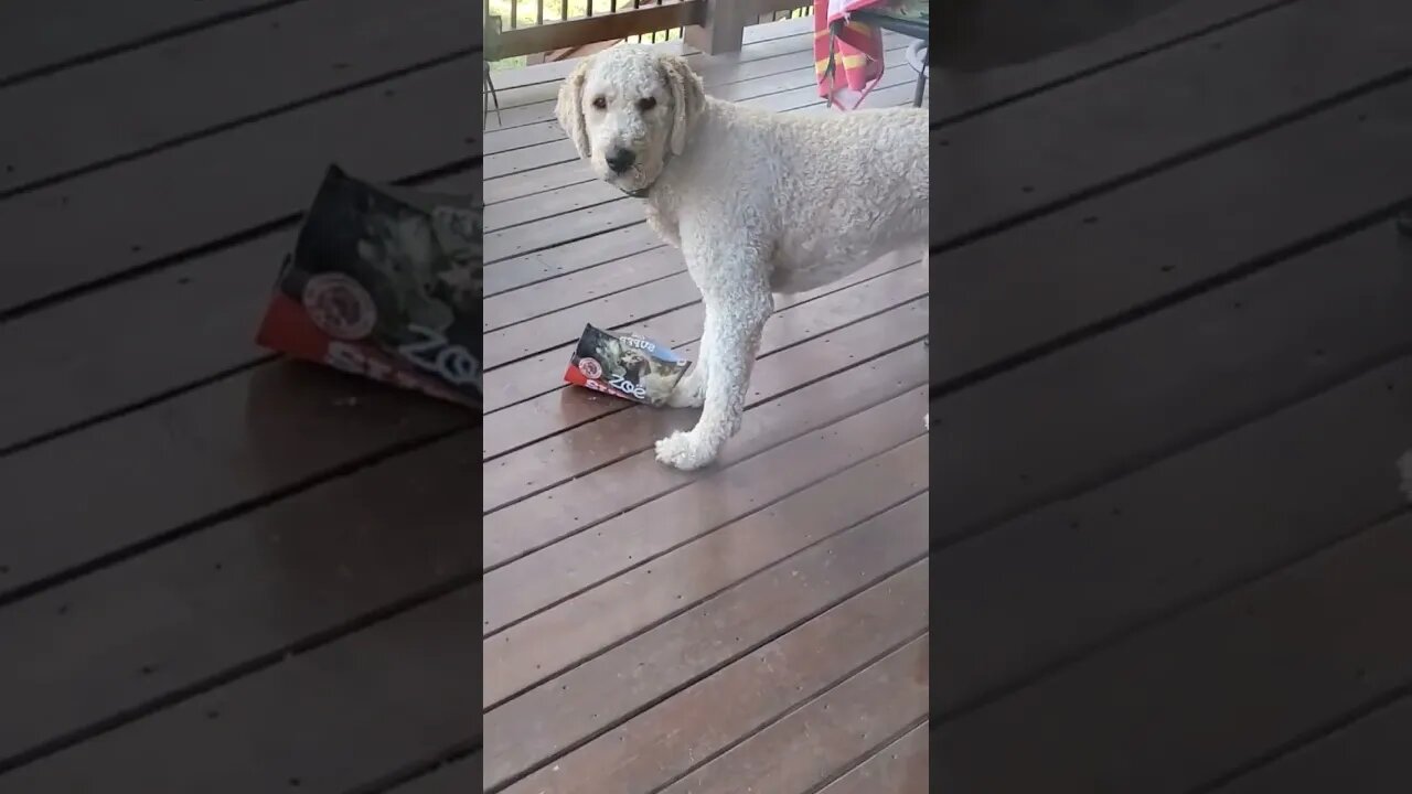 Buddy got caught