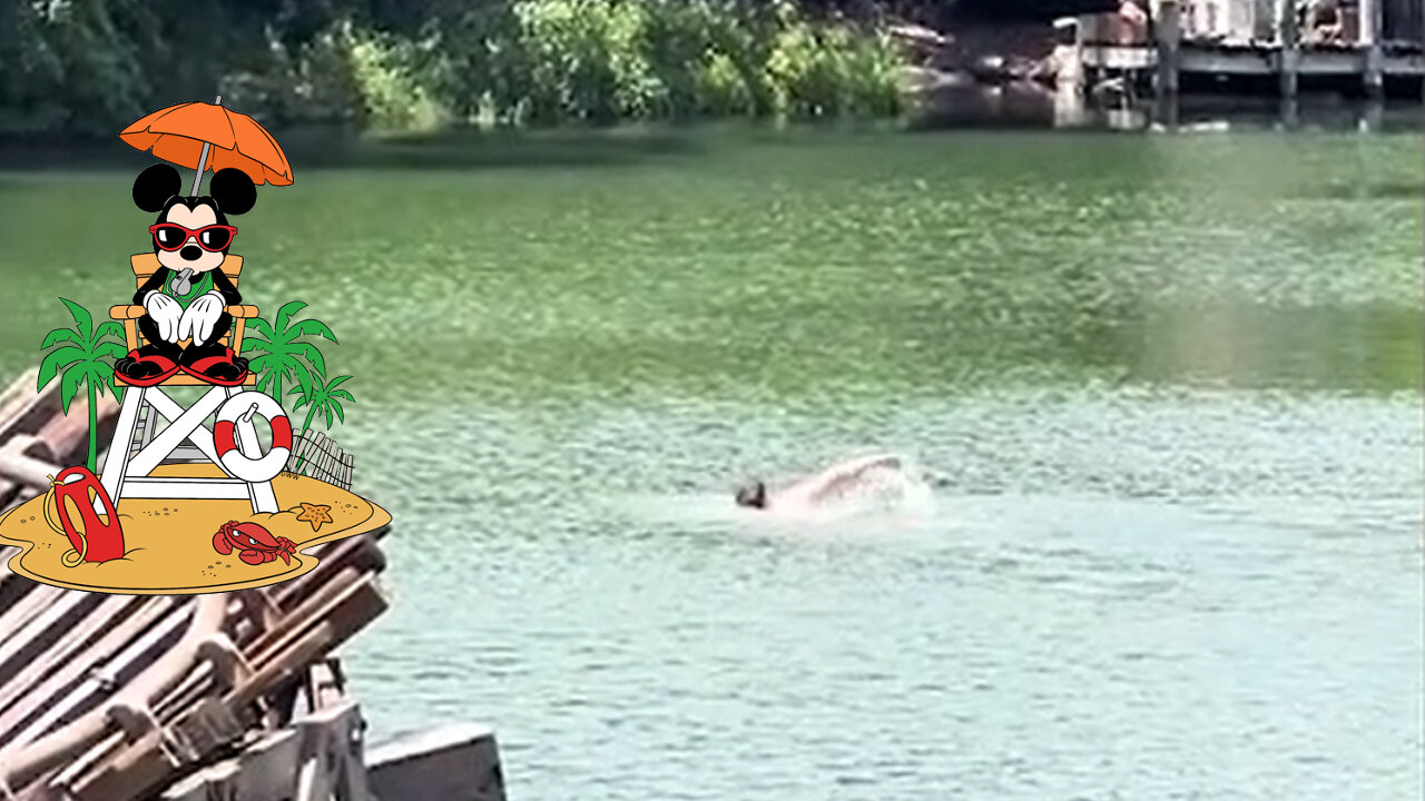 Disney World Guest SWIMS In The Rivers Of America