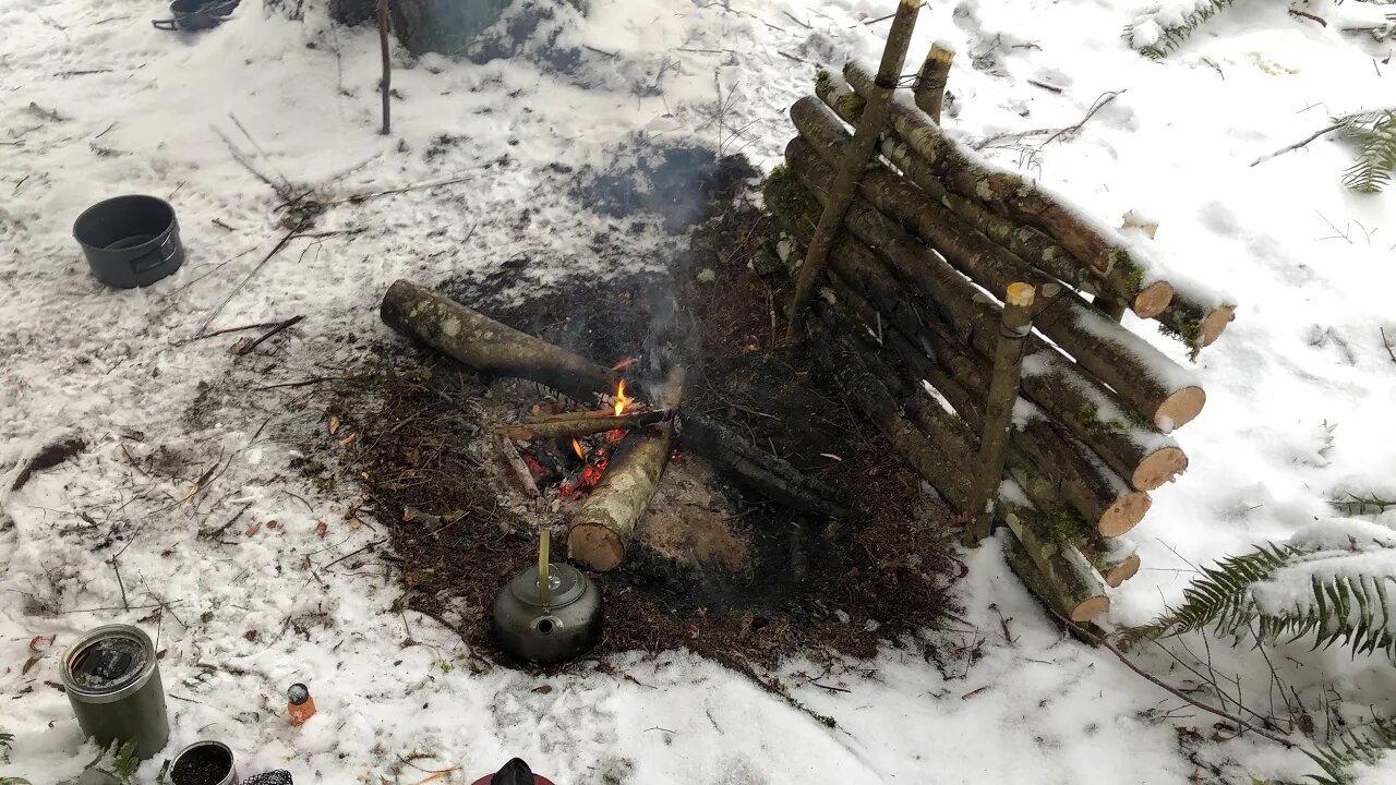 Cascade foothills solo winter hammock overnight hike & cook in a snow storm