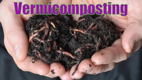 Vermicomposting Homestead Homeschooling project backyard gardening gold worms compost