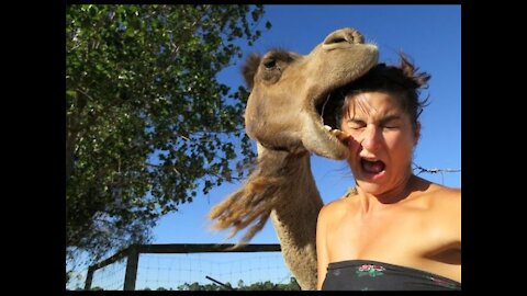 Fun with animals. Very kind and positive video! WATCH ALL!
