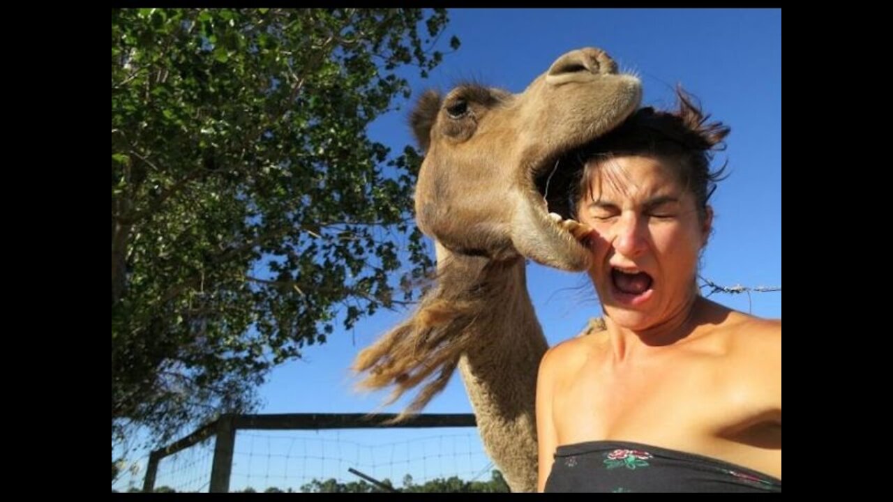 Fun with animals. Very kind and positive video! WATCH ALL!