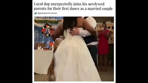 A newlywed couple first dance