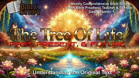 The Tree Of Life - Past, Present, & Future