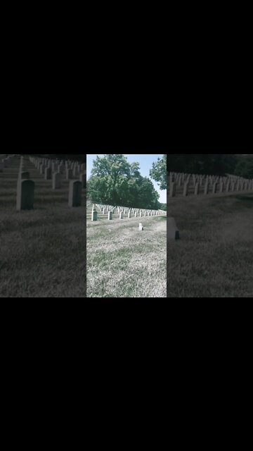 Memorial Day #shortsfeed