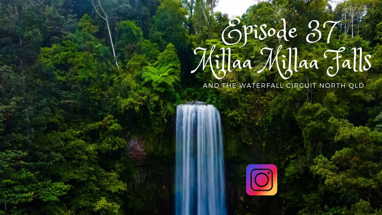 Assistance Animals @ Millaa Millaa Falls , North Queensland Australia