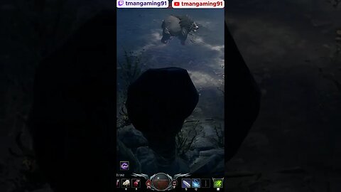 You Go Right, I Go Left