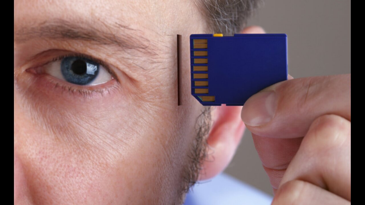 COGNIFY : TOTAL RECALL REHABILITATION