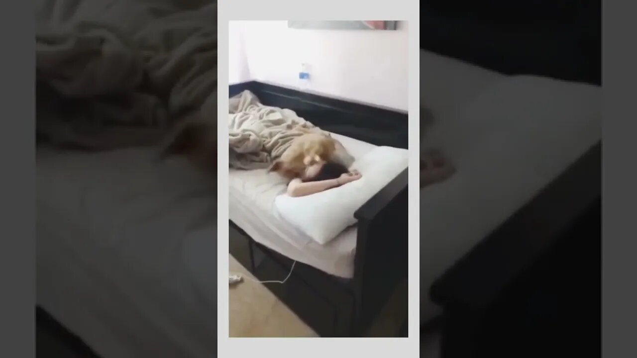 Best morning alarm system ever..🐶⏰😍