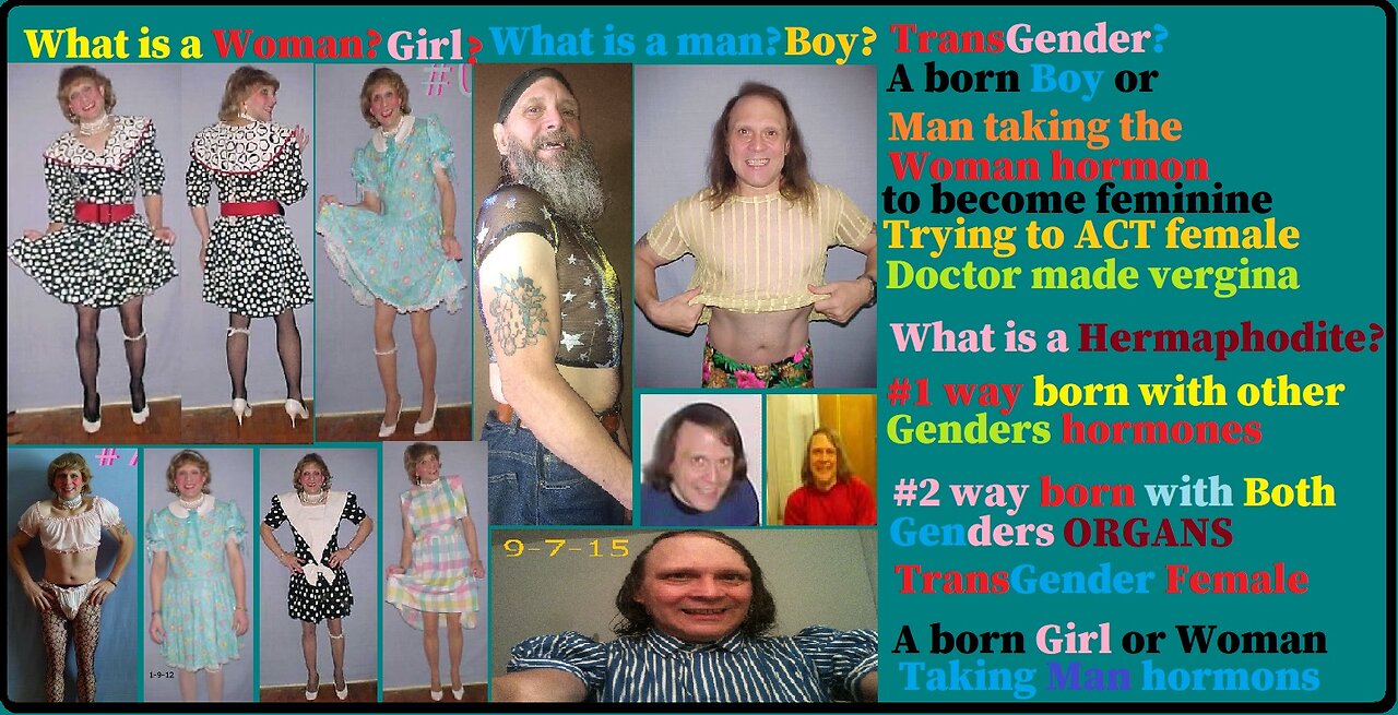 What is a woman? man? Transgender? Hermaphodite? Democrate? Republican? Scooby Doo Where are you?