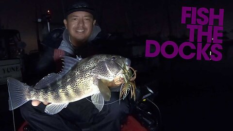 Winter Spotted Bay Bass | Time to fish the Docks | WARBAITS