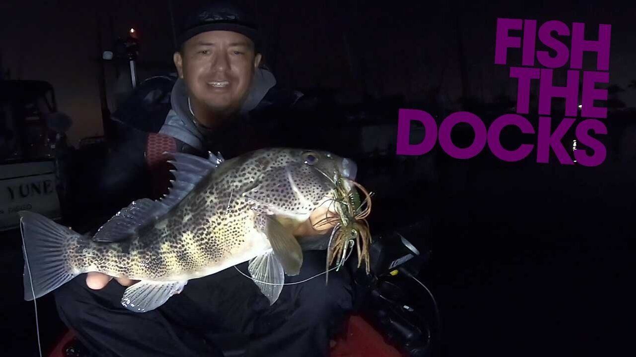 Winter Spotted Bay Bass | Time to fish the Docks | WARBAITS