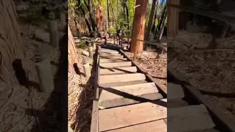 Madi Climbing Stairs At Evergreen Lodge Yosemite