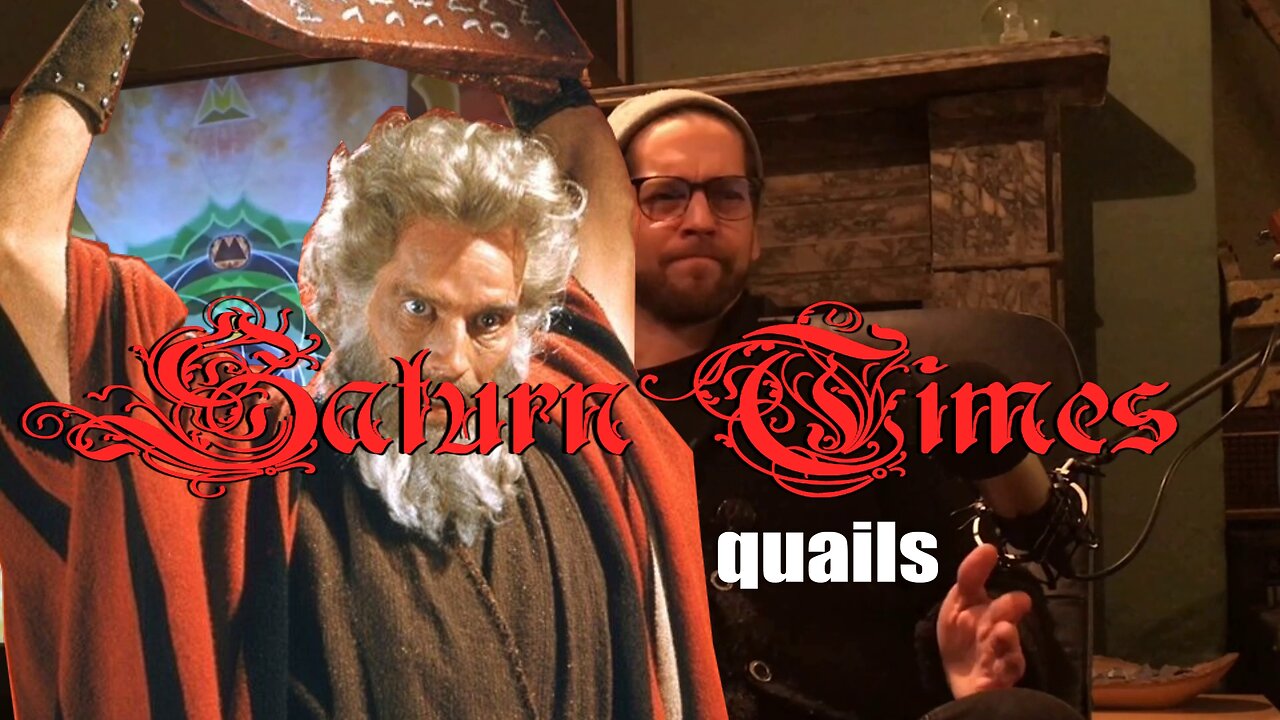 saturn times | 006 | quails