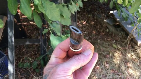 Commissioned Jumbo Author