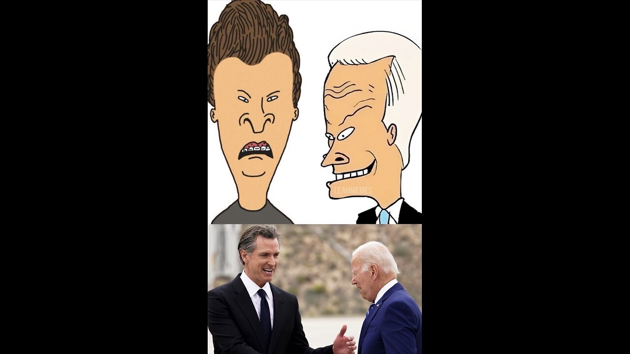 Meme 113