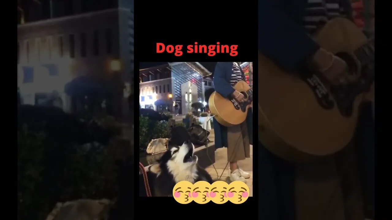Boss is singing