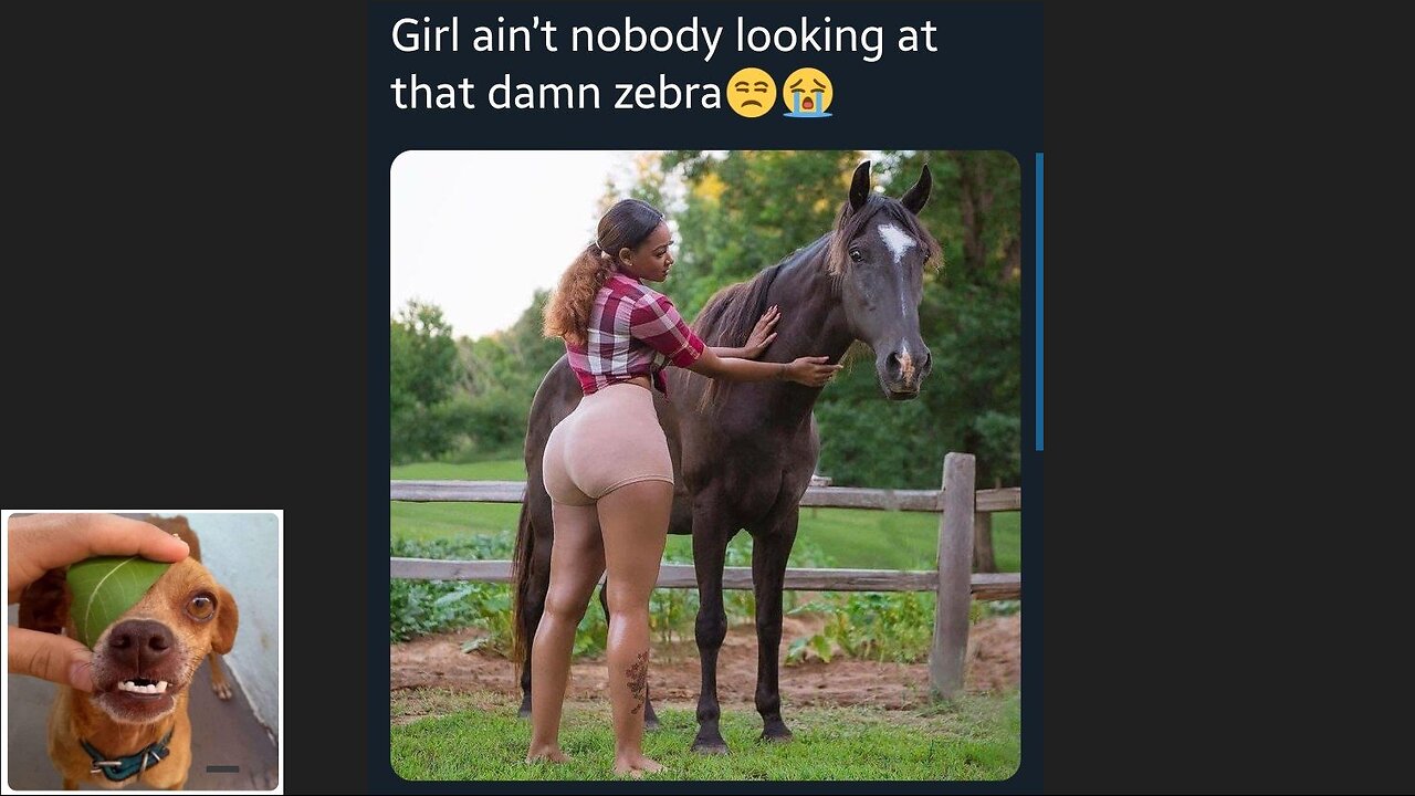 Memes That Will 99.955% Make You Laugh. (e180)
