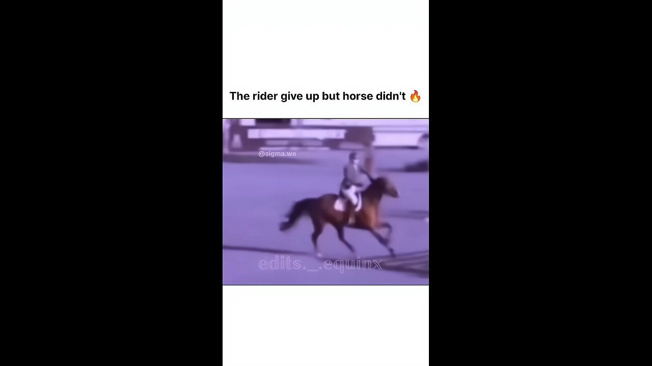 Rider give up💔but Horse doesn't 🔥#motivation